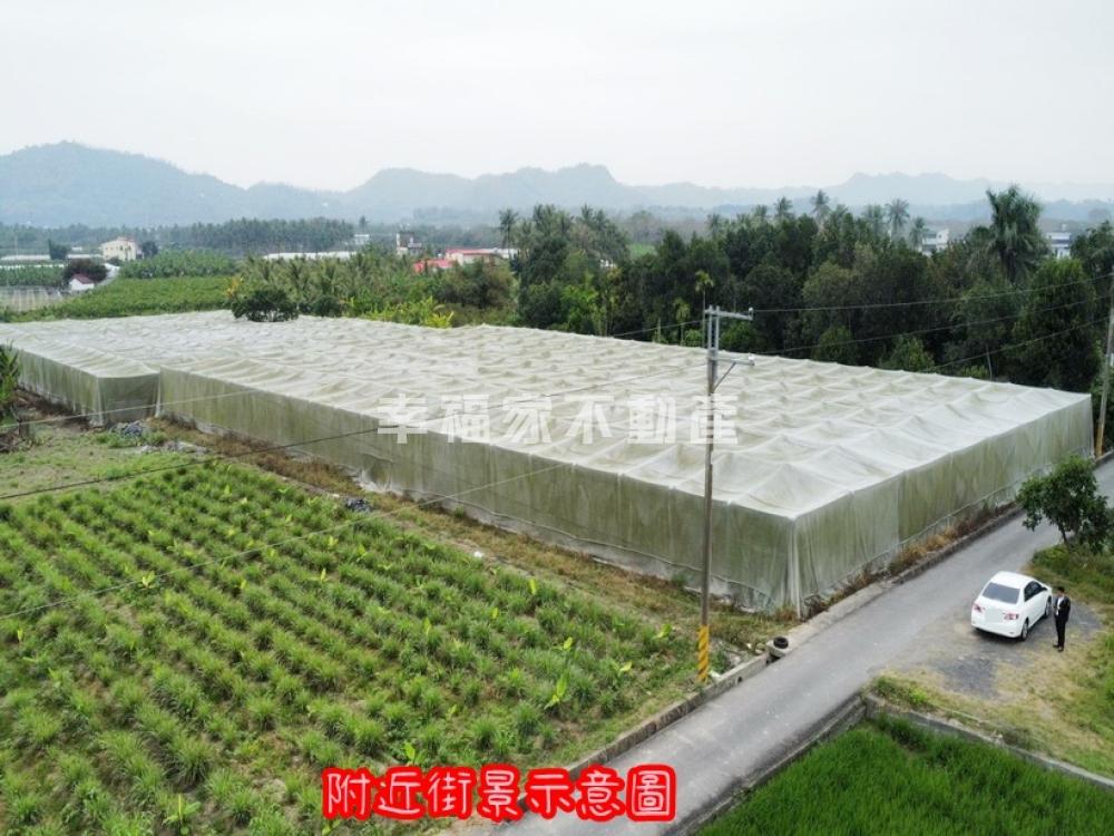 旗山青山綠水5.5分美農地