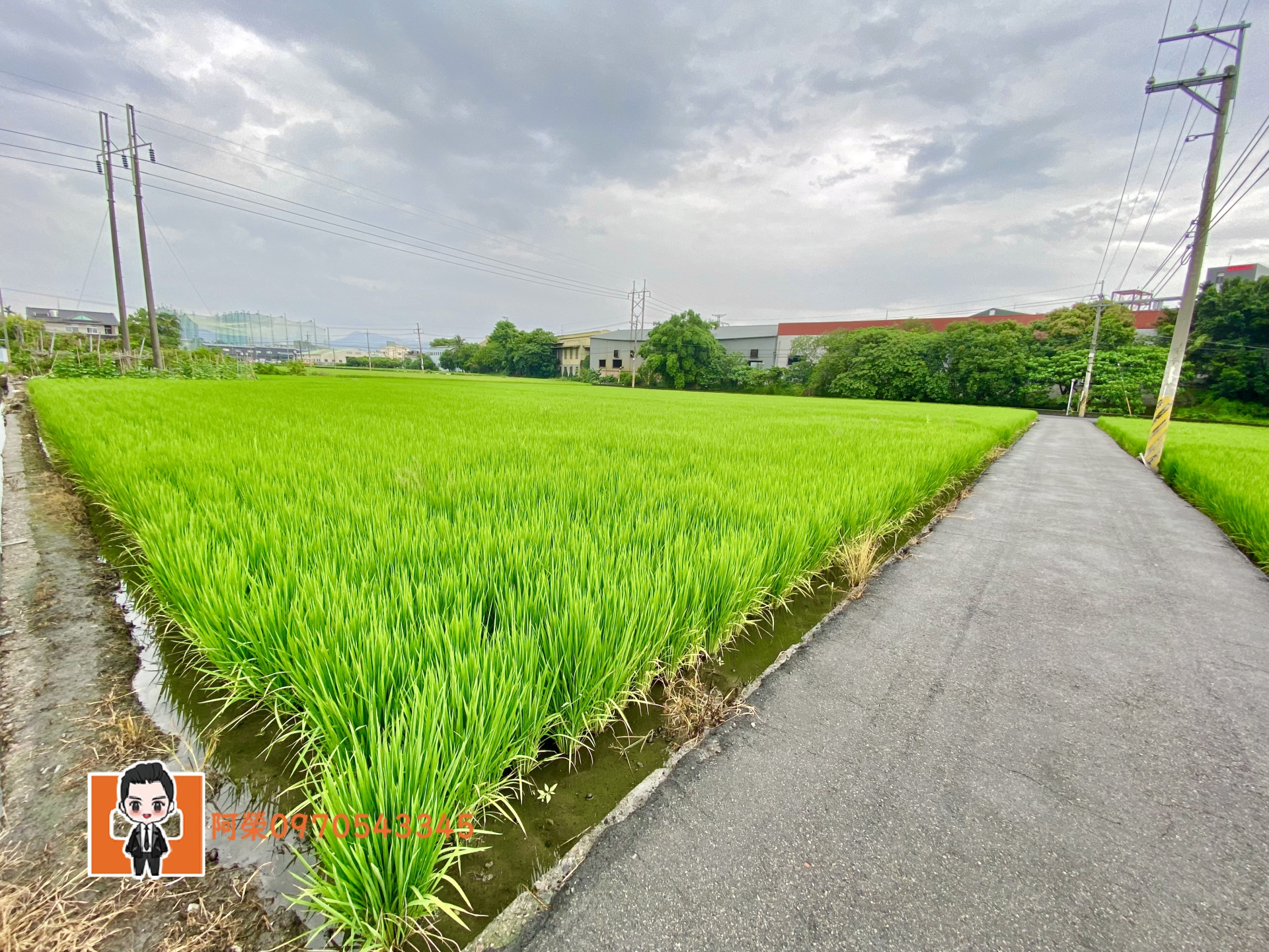 大里三期重劃區臨路土地｜極具未來發展性