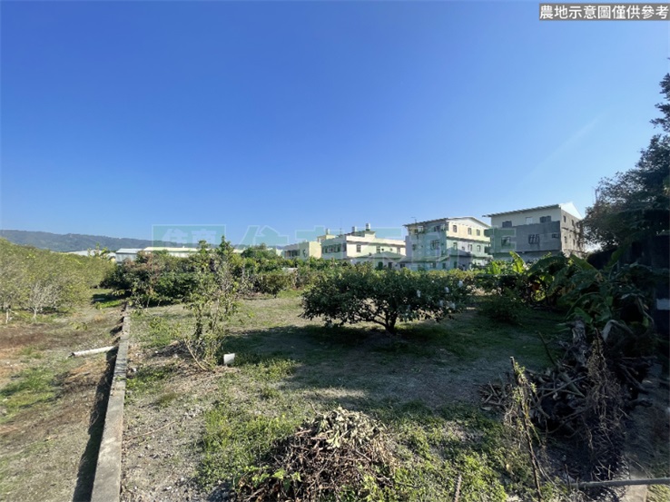 彰化社頭農地💜卓悅聯盟💜